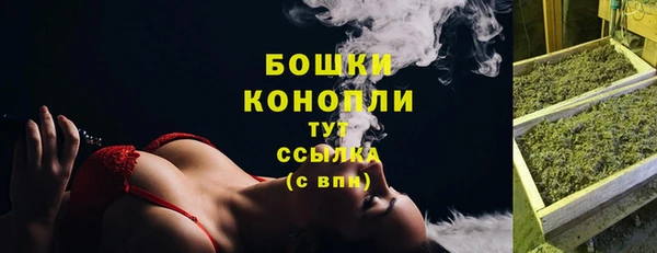 сатива Абаза