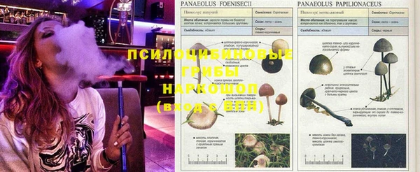 apvp Абдулино