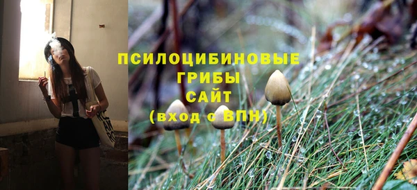 гашик Абинск