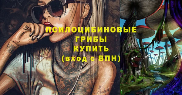 бутират Алексин