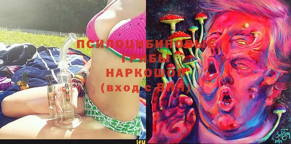 сатива Абаза
