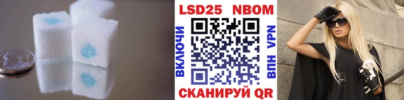 сколько стоит  Пудож  ЛСД экстази кислота 