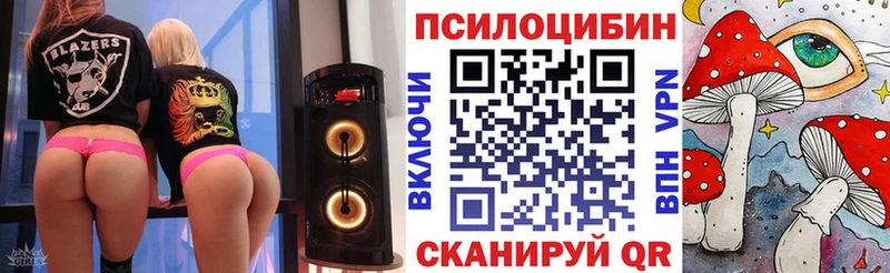ссылка на мегу маркетплейс  Пудож  даркнет состав  Галлюциногенные грибы Psilocybine cubensis 